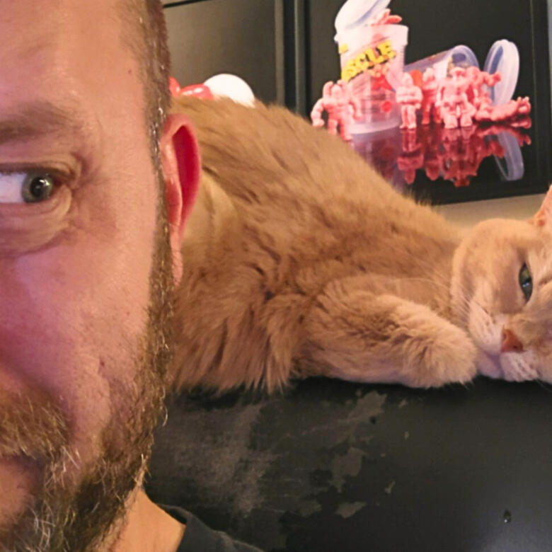 Psychology of Cat Allergies